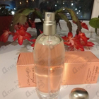 Отзыв Estee Lauder Pleasures