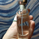 Парфюм Estee Lauder Pleasures