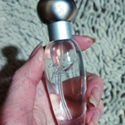 Отзыв Estee Lauder Pleasures
