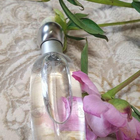 Отзыв Estee Lauder Pleasures