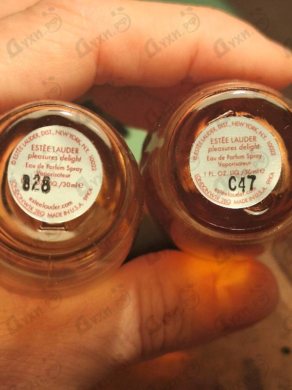 Парфюмерия Pleasures Delight от Estee Lauder