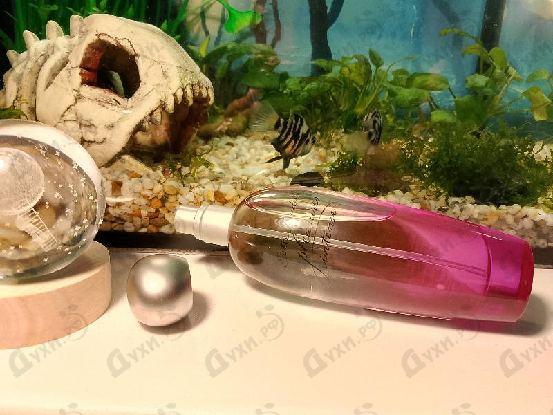 Парфюмерия Estee Lauder Pleasures Intense