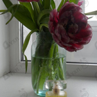 Отзыв Estee Lauder Pure White Linen