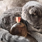 Духи Sensuous от Estee Lauder