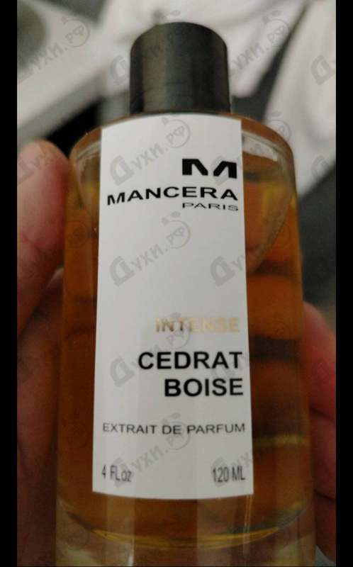 Купить Intense Cedrat Boise от Mancera