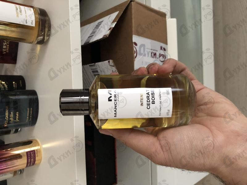 Купить Intense Cedrat Boise от Mancera Отзыв Mancera Intense Cedrat Boise