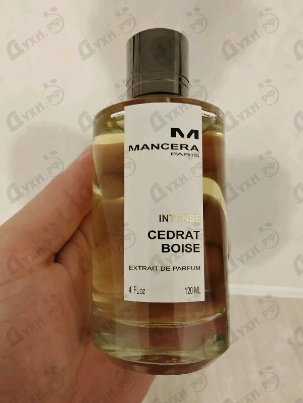 Парфюмерия Intense Cedrat Boise от Mancera