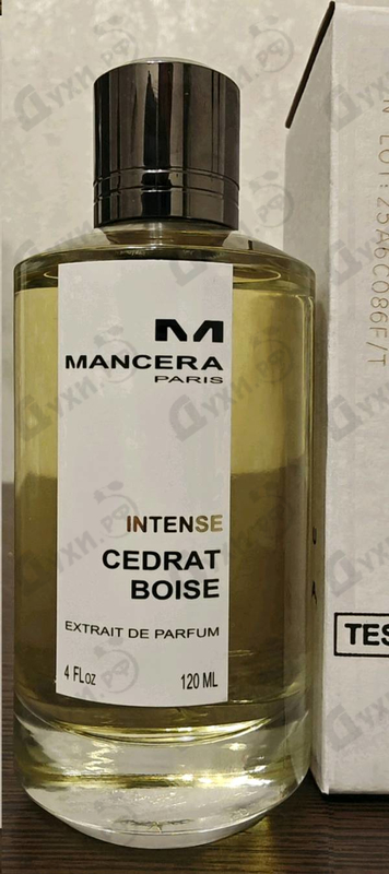 Купить Intense Cedrat Boise от Mancera