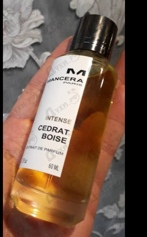 Купить Intense Cedrat Boise от Mancera