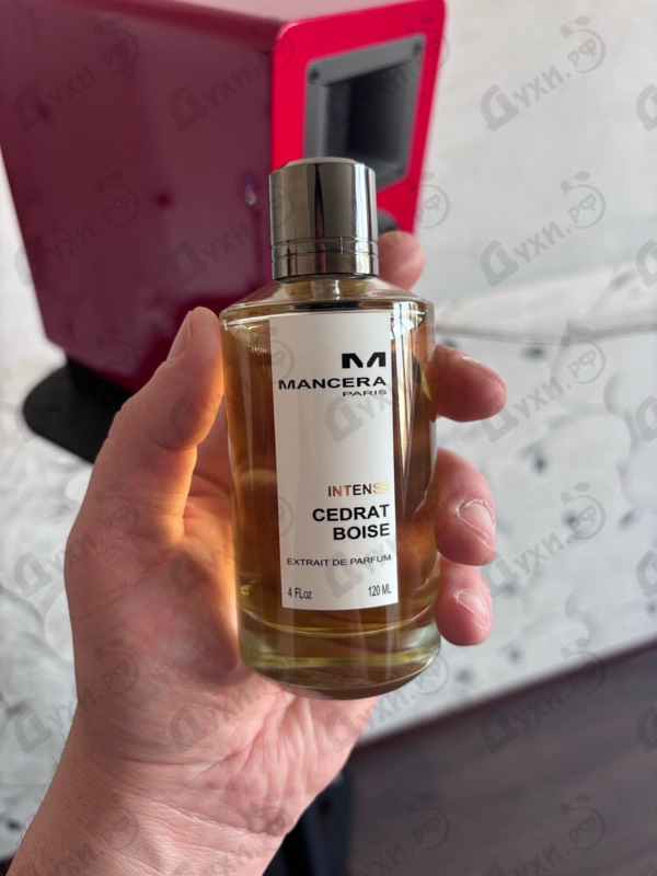 Купить Intense Cedrat Boise от Mancera