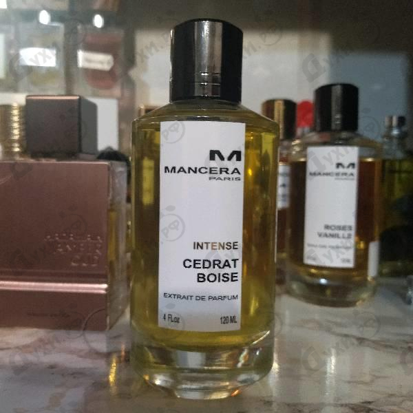 Купить Intense Cedrat Boise от Mancera