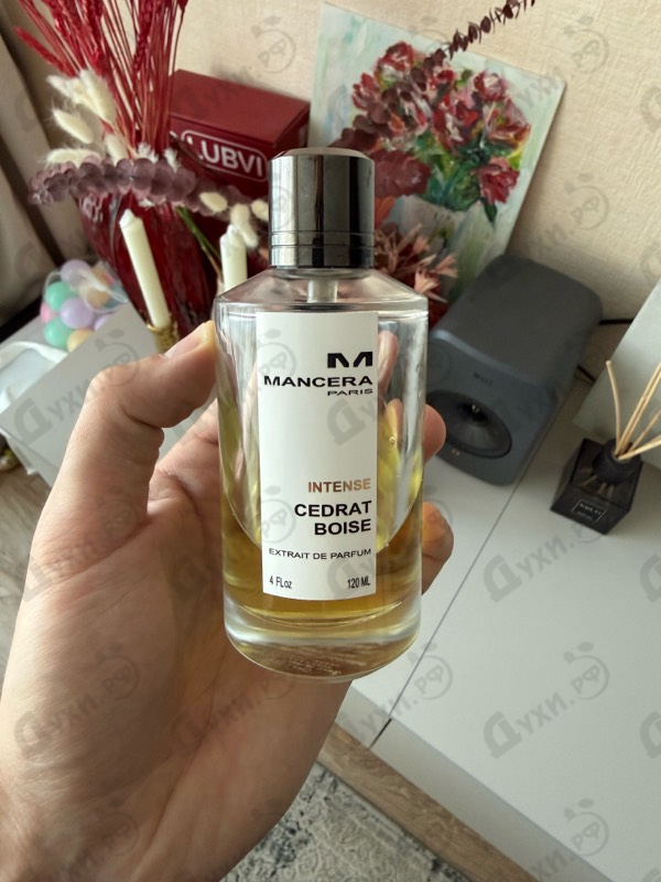 Купить Mancera Intense Cedrat Boise