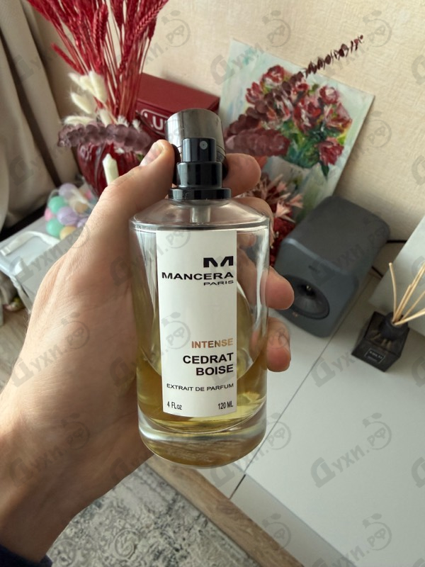 Купить Intense Cedrat Boise от Mancera
