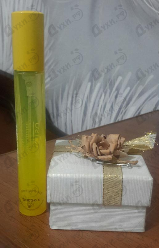 Купить Matsu Sunshine от Masaki Matsushima Купить Masaki Matsushima Matsu Sunshine