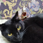 Парфюм Estee Lauder Youth Dew