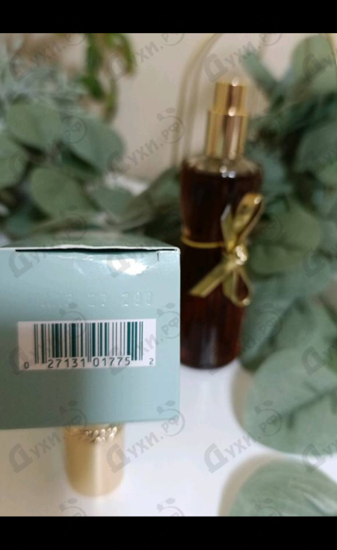 Парфюмерия Estee Lauder Youth Dew