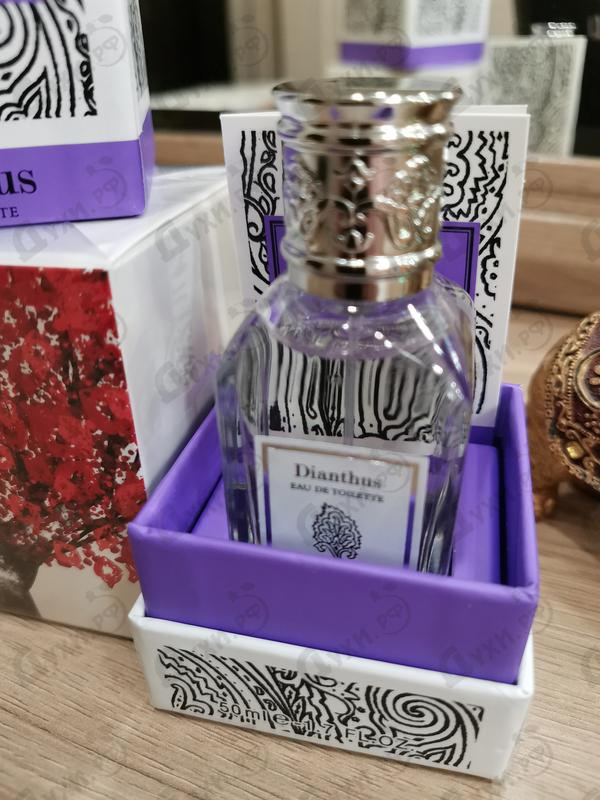 Купить Dianthus от Etro