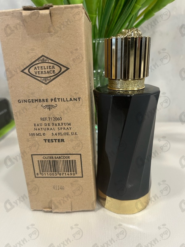 Отзыв Versace Gingembre Petillant