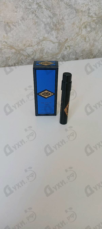 Отзыв Versace Iris D'Elite