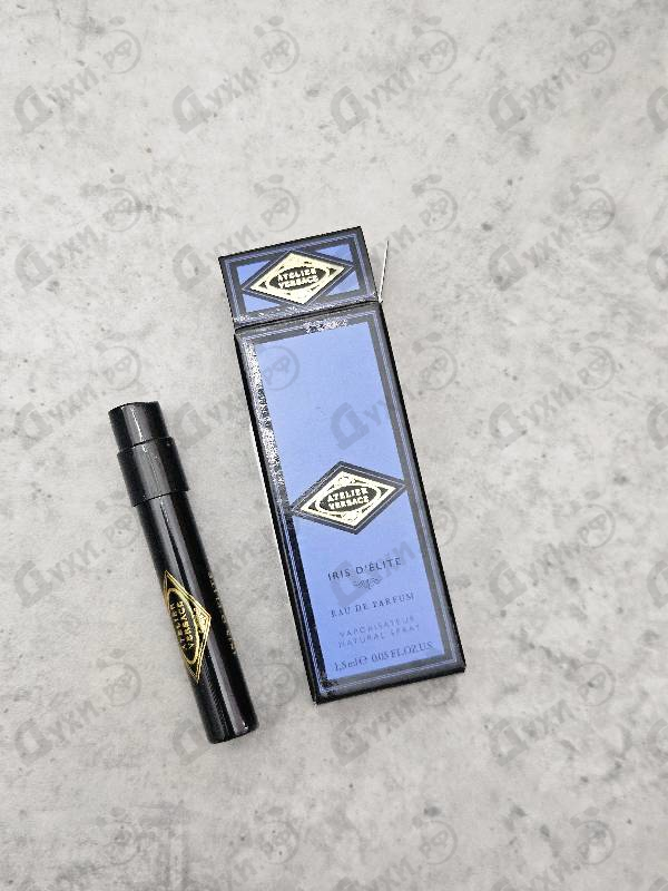 Купить Iris D'Elite от Versace