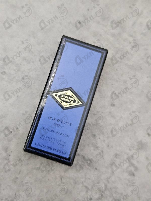 Купить Iris D'Elite от Versace