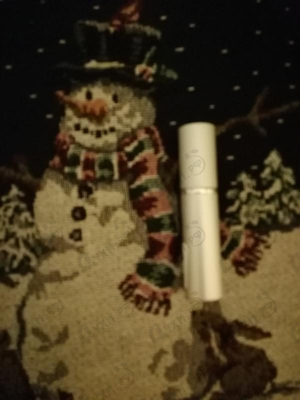 Купить Theorema от Fendi