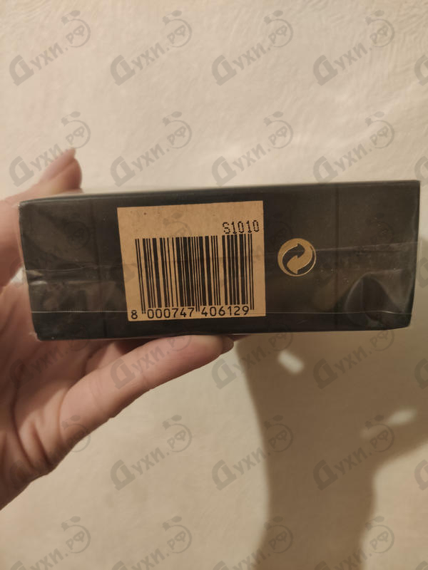 Купить Theorema от Fendi