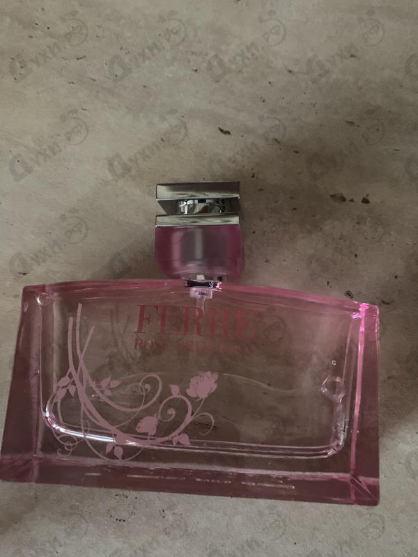 Купить Rose Princesse от Ferre