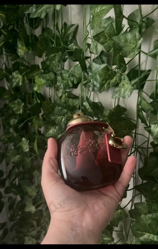 Духи Wild Rose от Coach