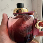 Отзыв Coach Wild Rose