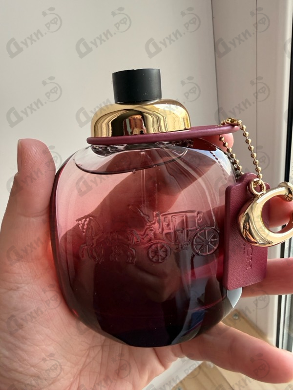 Парфюмерия Wild Rose от Coach