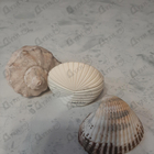 Отзыв Franck Olivier Women