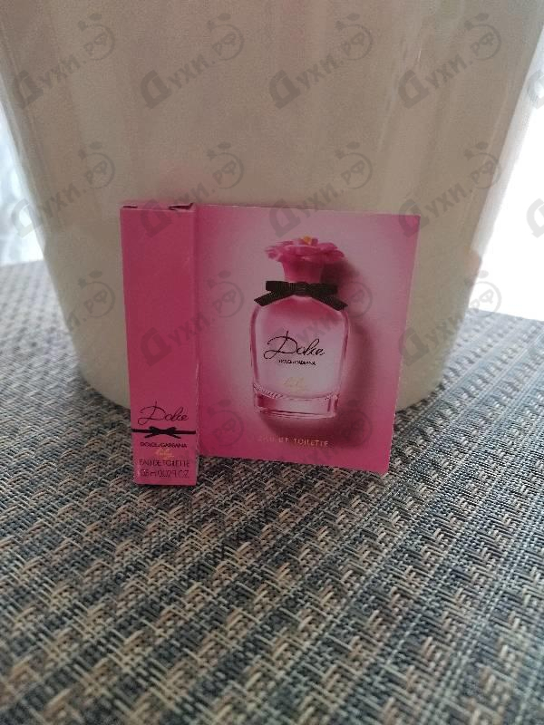 Купить Dolce Lily от Dolce & Gabbana