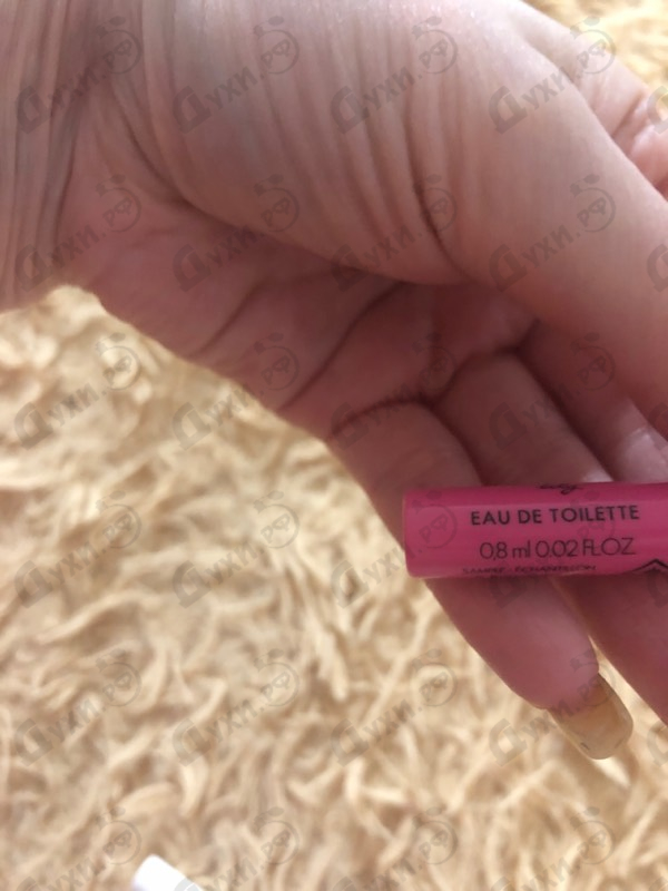 Отзывы Dolce & Gabbana Dolce Lily Купить Dolce Lily от Dolce & Gabbana