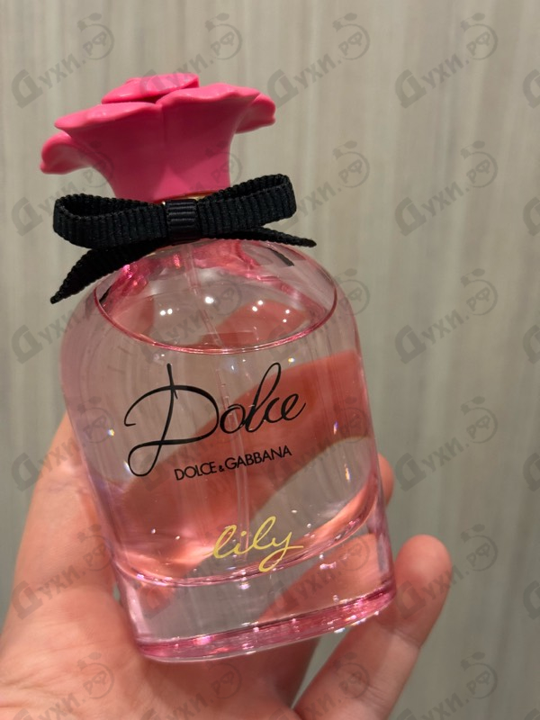 Парфюмерия Dolce Lily от Dolce & Gabbana