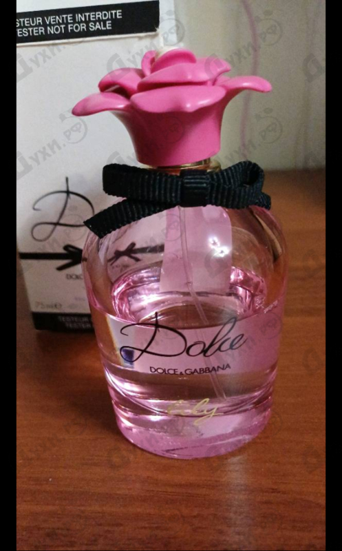 Купить Dolce Lily от Dolce & Gabbana