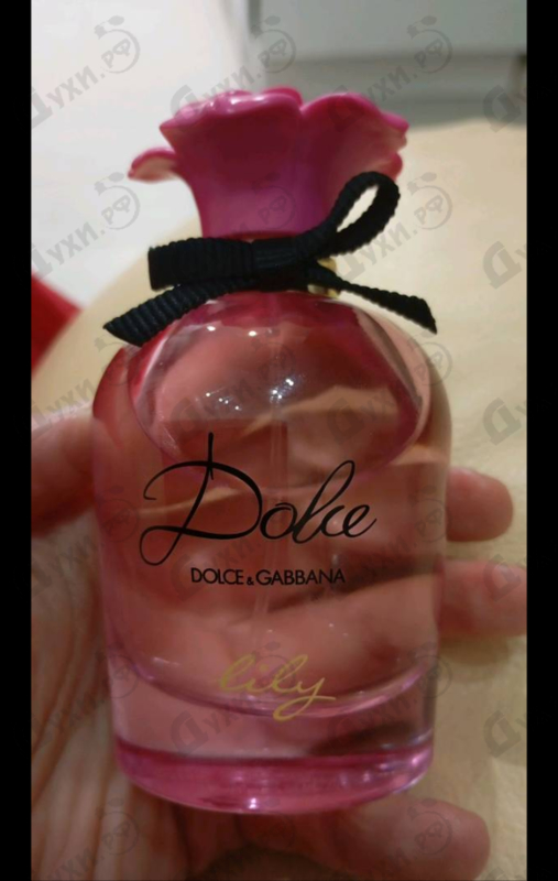 Духи Dolce Lily от Dolce & Gabbana