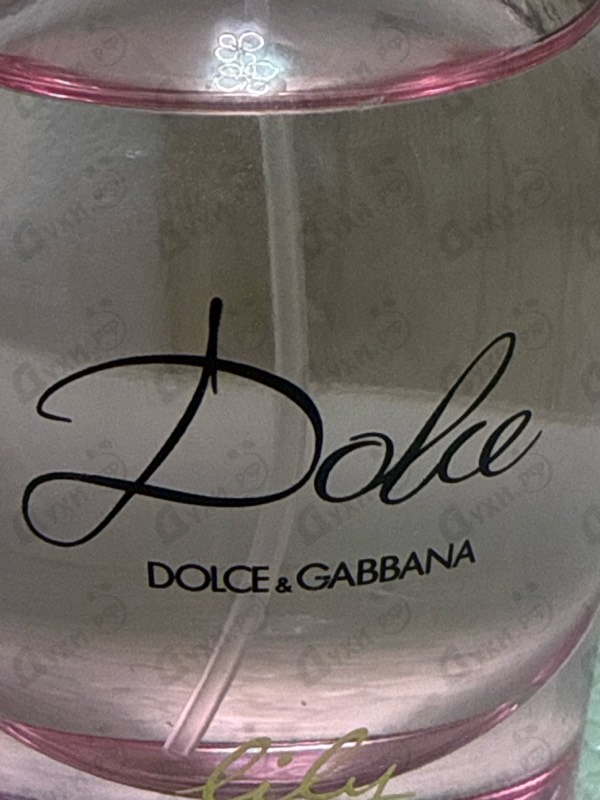 Купить Dolce & Gabbana Dolce Lily