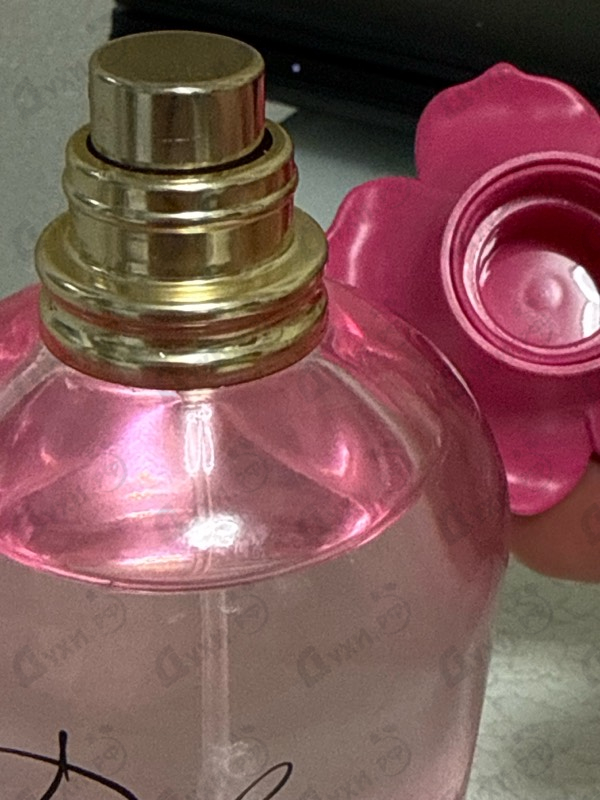 Парфюмерия Dolce Lily от Dolce & Gabbana