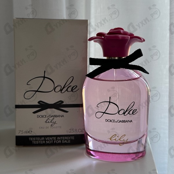 Купить Dolce & Gabbana Dolce Lily
