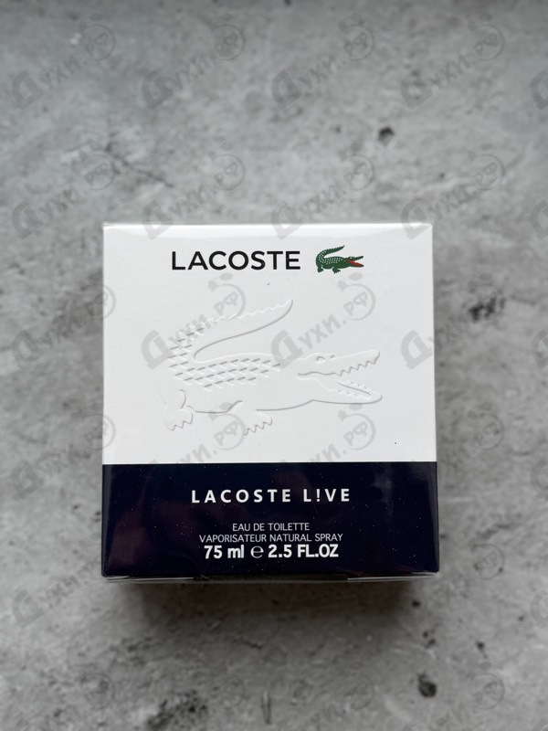 Купить Lacoste Live