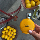 Отзывы Max Philip Mango
