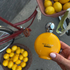Купить Max Philip Mango