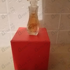 Отзывы Giorgio Beverly Hills Giorgio