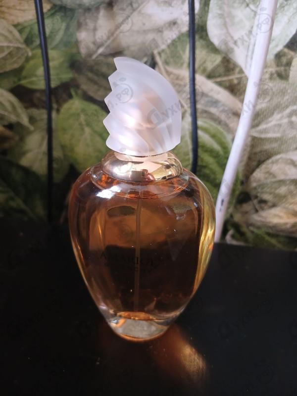 Парфюмерия Amarige от Givenchy