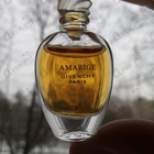 Отзывы Givenchy Amarige