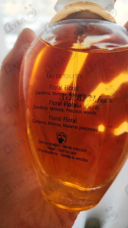 Купить Givenchy Amarige