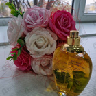 Отзывы Givenchy Amarige