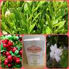 Отзывы Givenchy Ange Ou Demon Le Secret