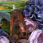 Отзывы Givenchy Ange Ou Demon Le Secret